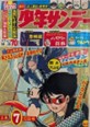 仮面の忍者赤影